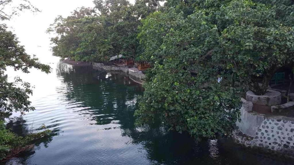 Nature Green Forest Resort Baler Dış mekan fotoğraf
