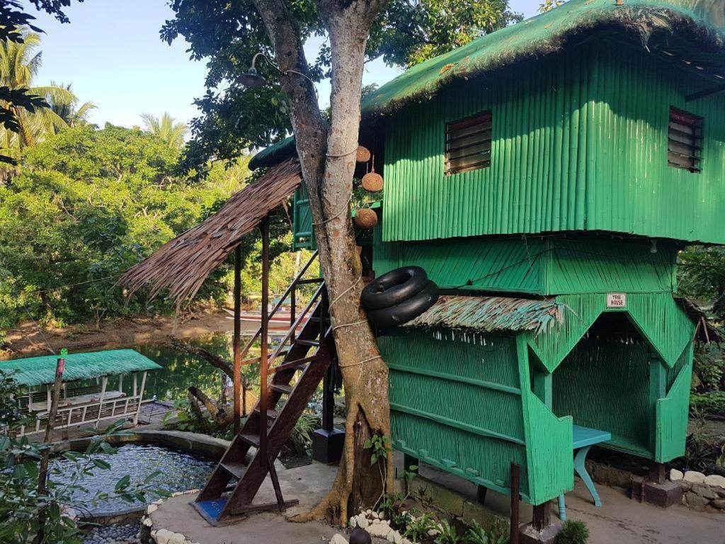 Nature Green Forest Resort Baler Dış mekan fotoğraf