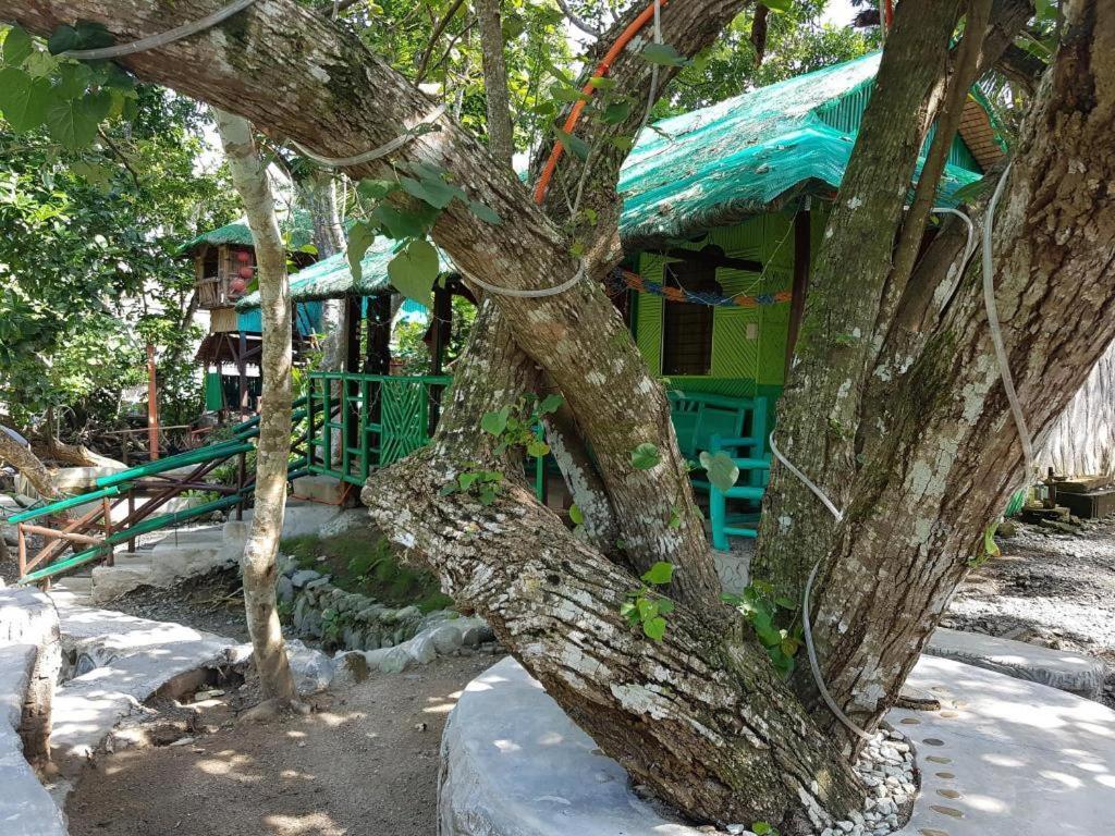 Nature Green Forest Resort Baler Dış mekan fotoğraf