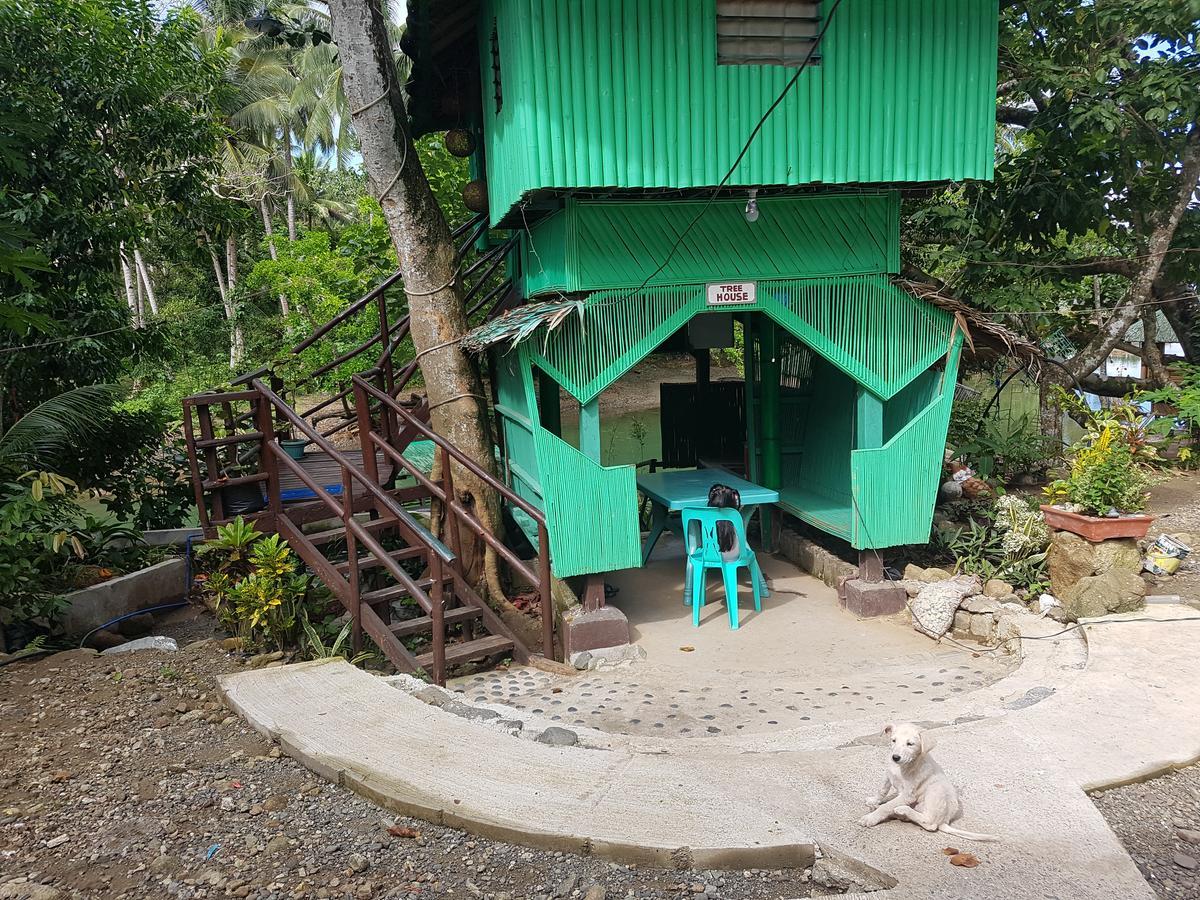 Nature Green Forest Resort Baler Dış mekan fotoğraf