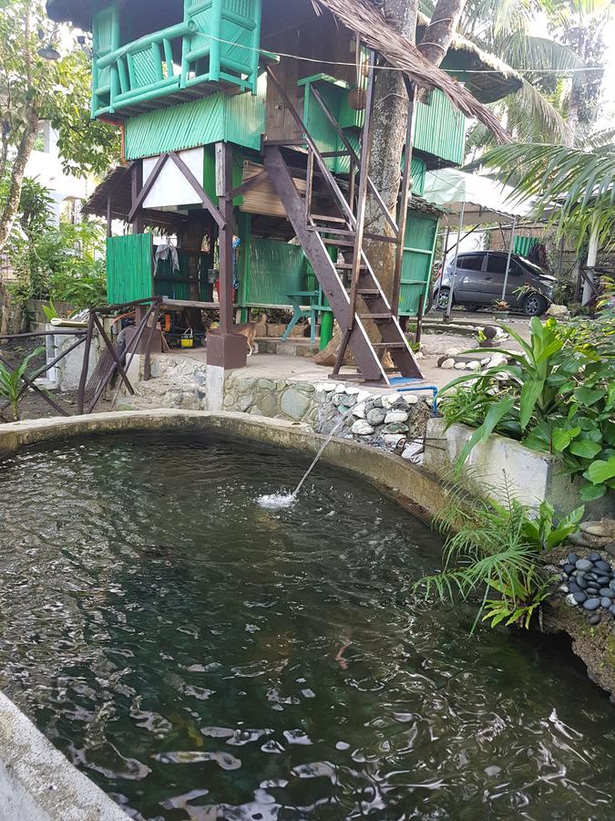 Nature Green Forest Resort Baler Oda fotoğraf