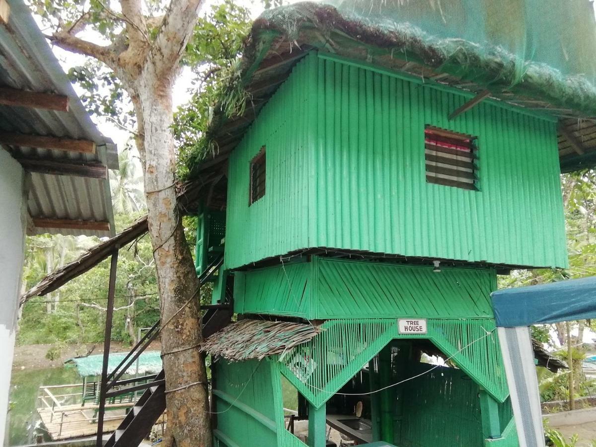 Nature Green Forest Resort Baler Dış mekan fotoğraf