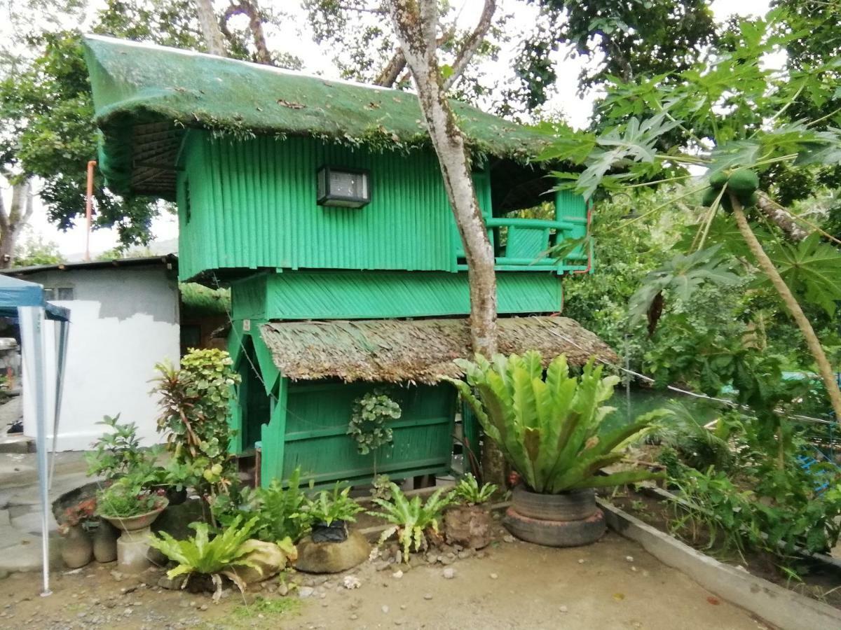 Nature Green Forest Resort Baler Dış mekan fotoğraf