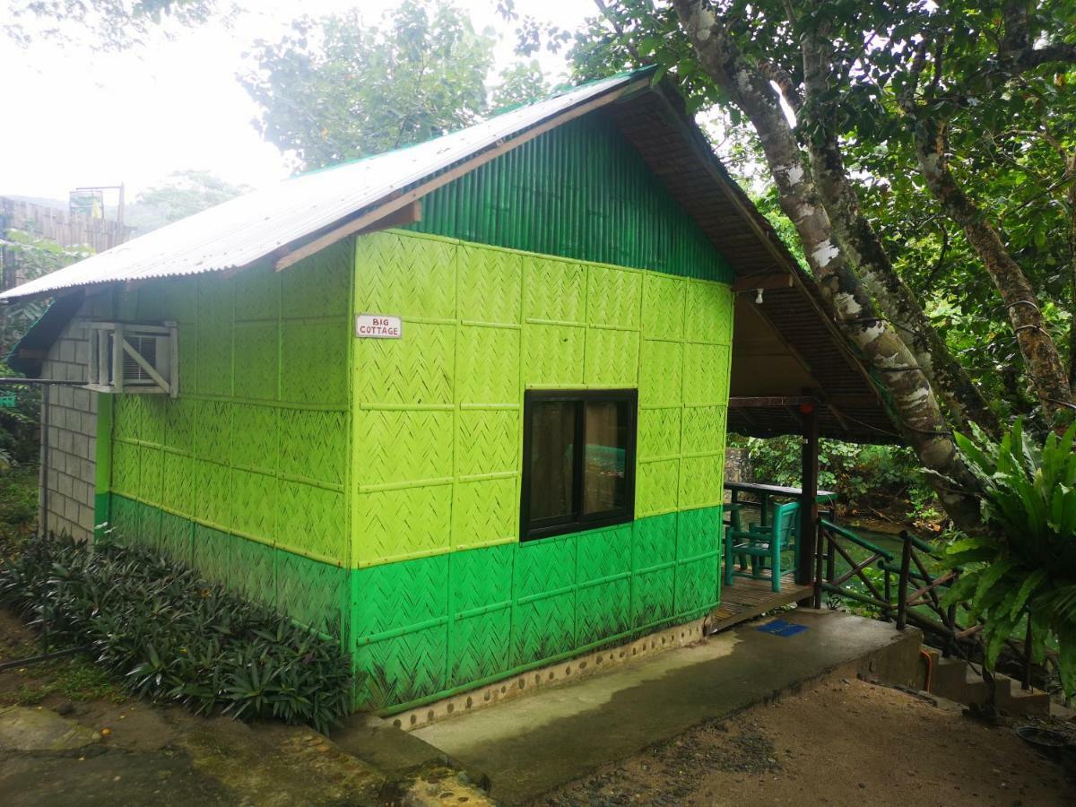 Nature Green Forest Resort Baler Dış mekan fotoğraf